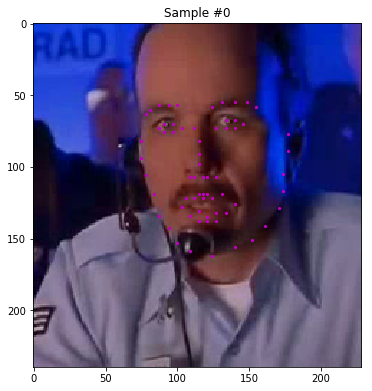 facial kepoints