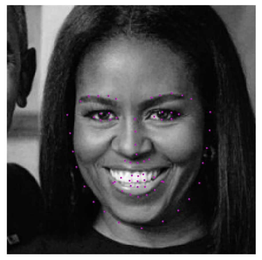 michelle_detected